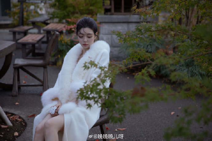 阿甘正传 封面